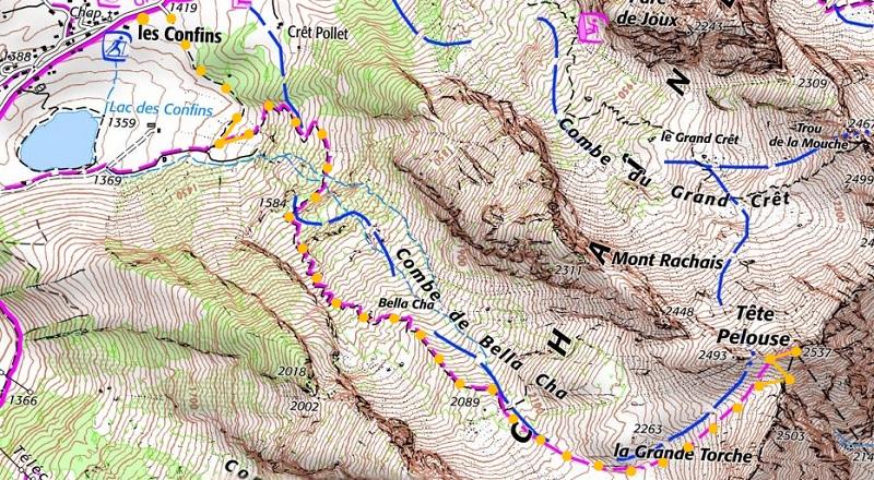 Carte tete pelouse bellachat